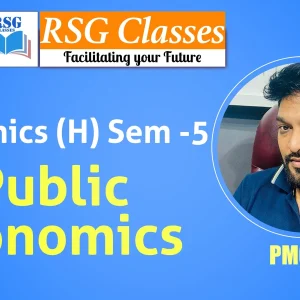 Public Economics