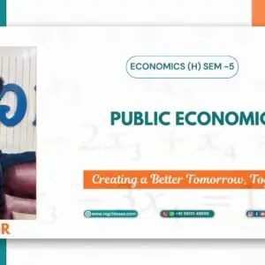 Public Economics